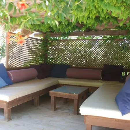 Pinato Cala Llonga (Ibiza)