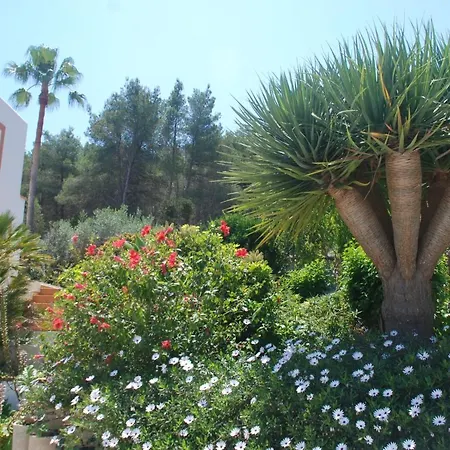 Villa Pinato Cala Llonga (Ibiza)