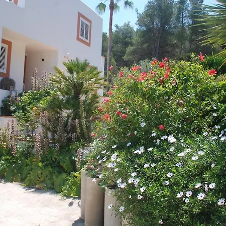 Pinato * Cala Llonga (Ibiza)