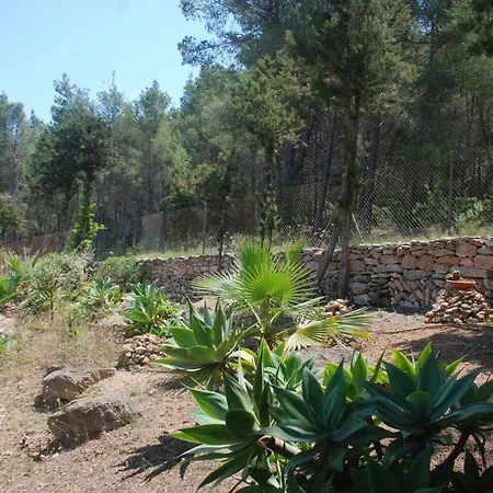 Villa Pinato *